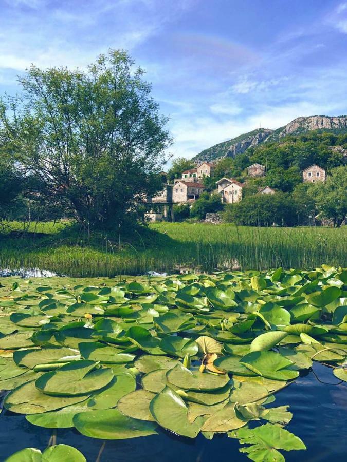 Lake View Apartment Dodosi Luaran gambar